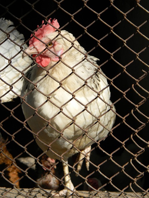 这座城市都 这座城市都