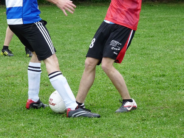 无疑对球员 无疑对球员