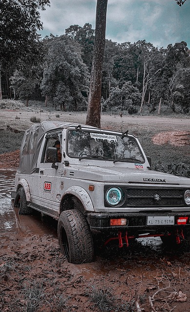 俱乐部的运 俱乐部的运