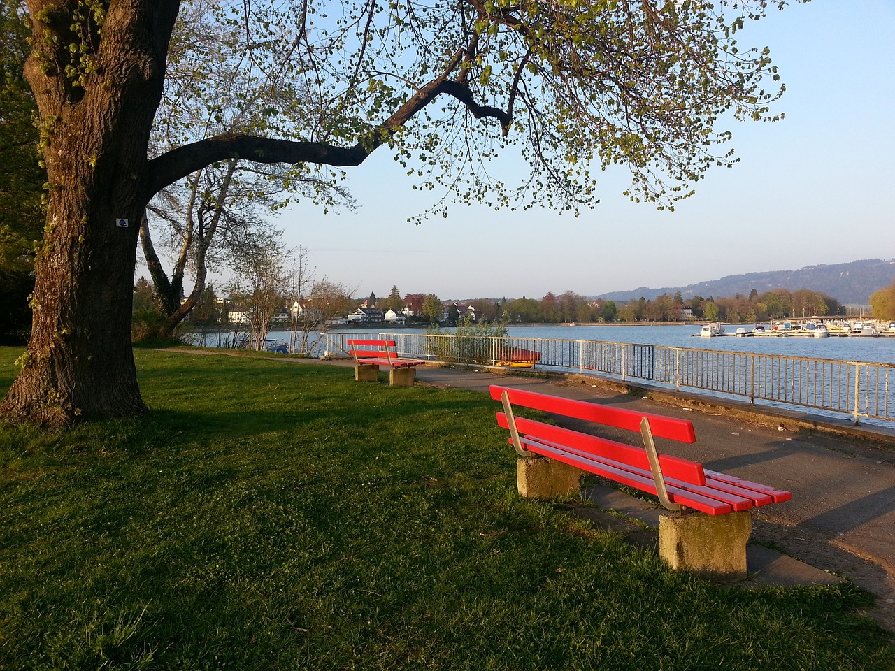 场比赛的关 场比赛的关